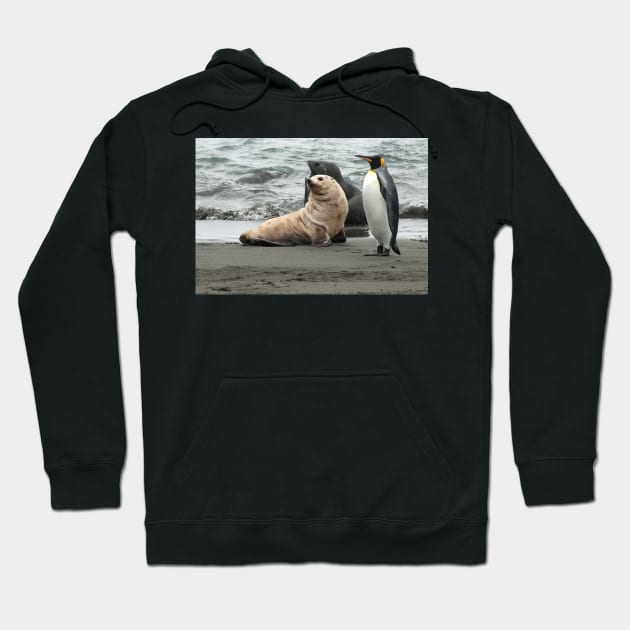 Animals of the Antarctic Hoodie by Memories4you